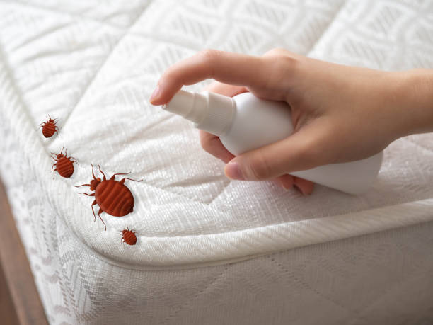 Best Residential Pest Control  in Sayreville, NJ